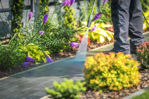 Best Fence Cleaning  in Forest Hill, TX